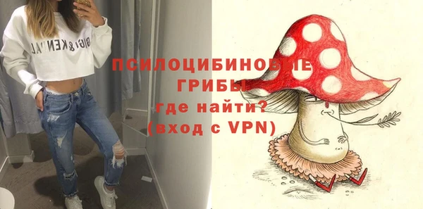метадон Гусиноозёрск