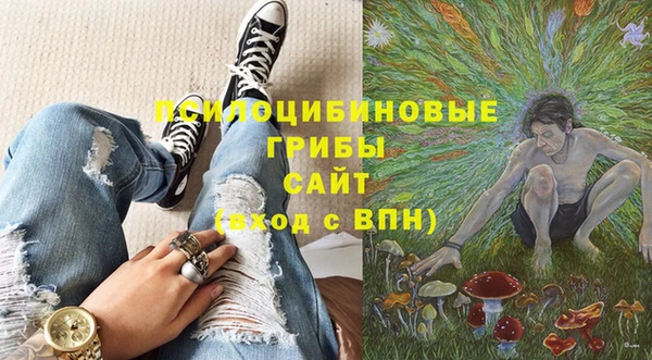 метадон Гусиноозёрск
