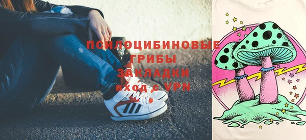 марки lsd Гусь-Хрустальный