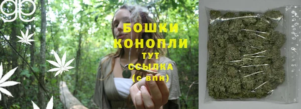 метадон Гусиноозёрск