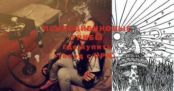метадон Гусиноозёрск