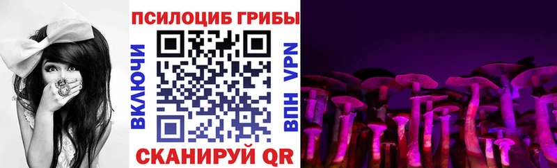 даркнет сайт  Астрахань  Псилоцибиновые грибы Magic Shrooms 