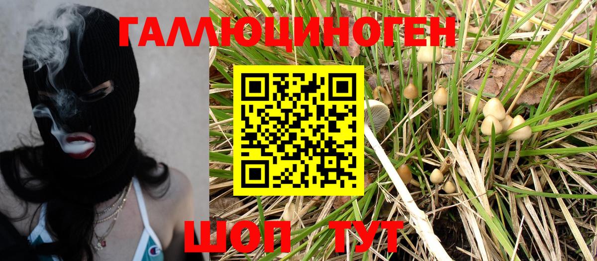 Астрахань  Псилоцибиновые грибы ЛСД  Вход с VPN  Галлюциногенные грибы MAGIC MUSHROOMS 