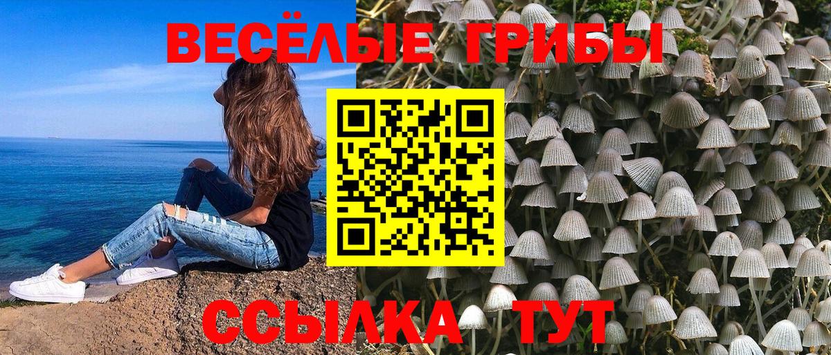 Галлюциногенные грибы MAGIC MUSHROOMS Астрахань