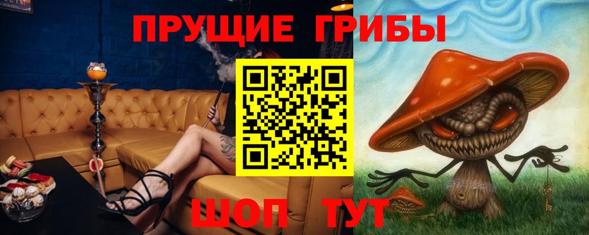Псилоцибиновые грибы Psilocybe  Астрахань 